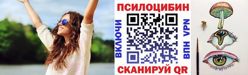 сайты даркнета телеграм  Полярные Зори  Псилоцибиновые грибы мицелий 