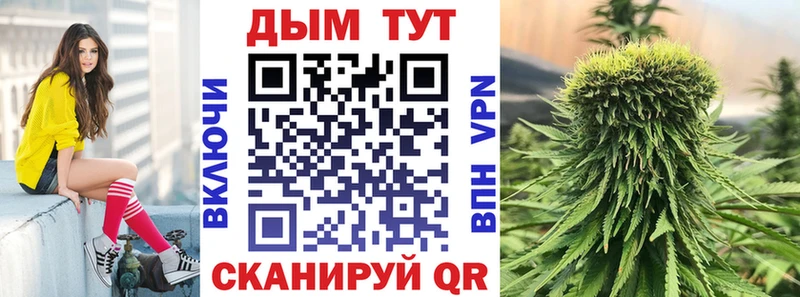 darknet как зайти  Полярные Зори  Конопля гибрид 